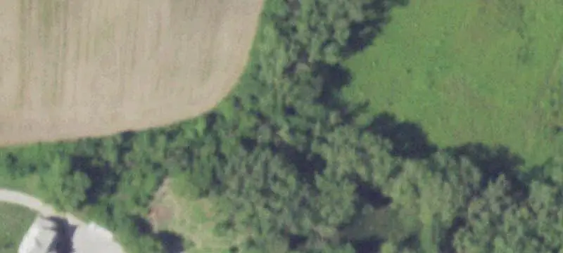 Specialty Property with House and Barn