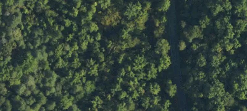 Lots/Land