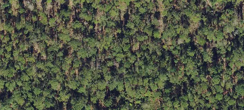 Lots/Land