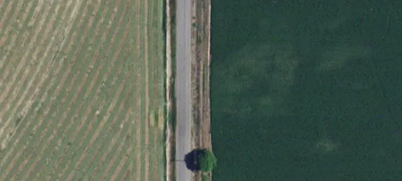 Irrigated Agricultural Farmland