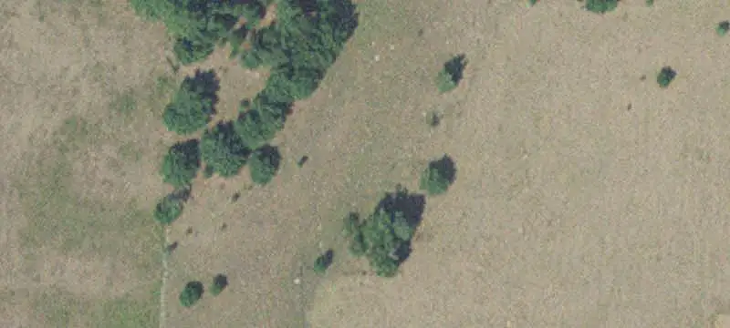 Wooded Recreation Land with Electric Shed