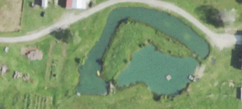 Improved Farm with Livestock Barns