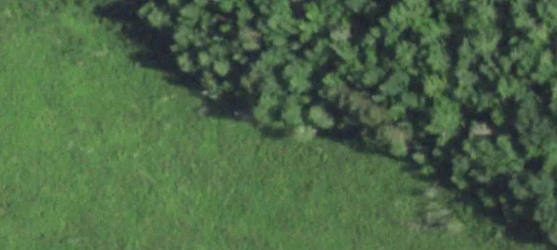 Garden Center Property