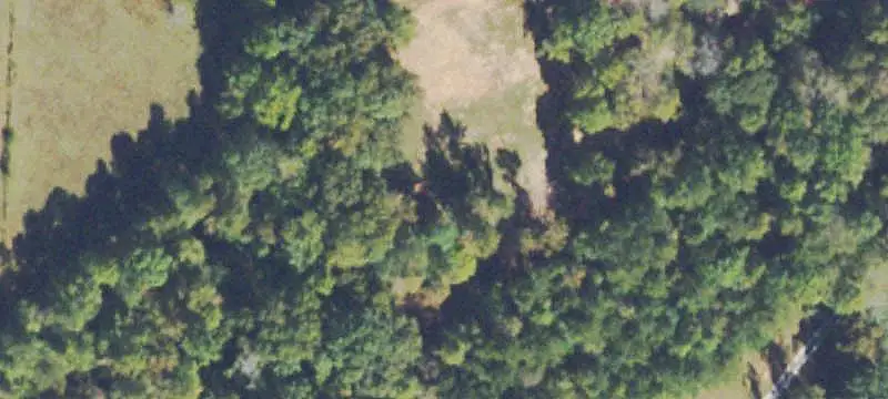 Fenced Farm with Orchard