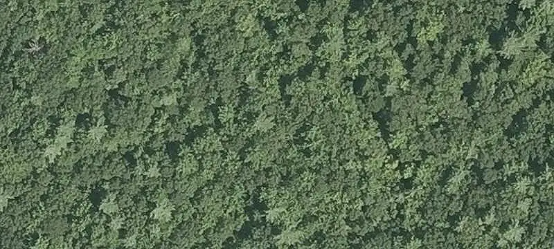 Highway Commercial Land