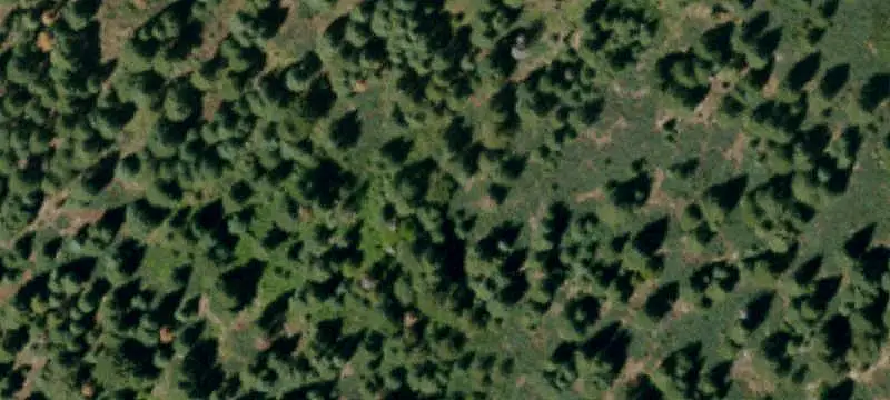 Forested Recreation Land Along Creek