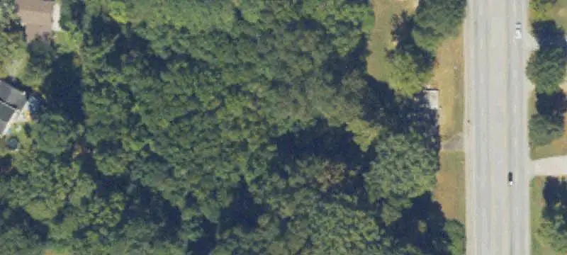 Land / Other
