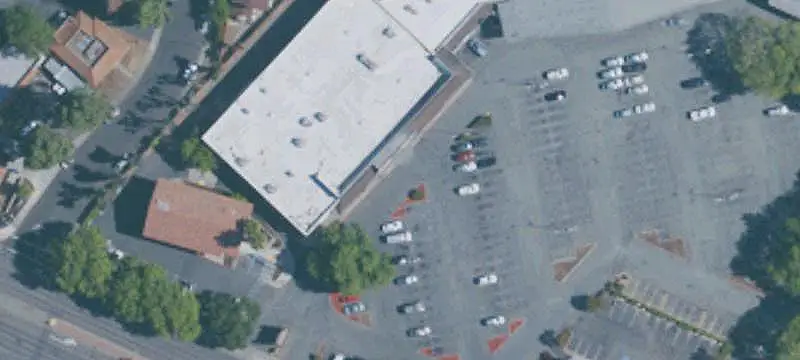 Dollar Tree Retail Space