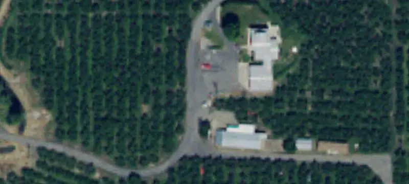 Pear Orchard Farm