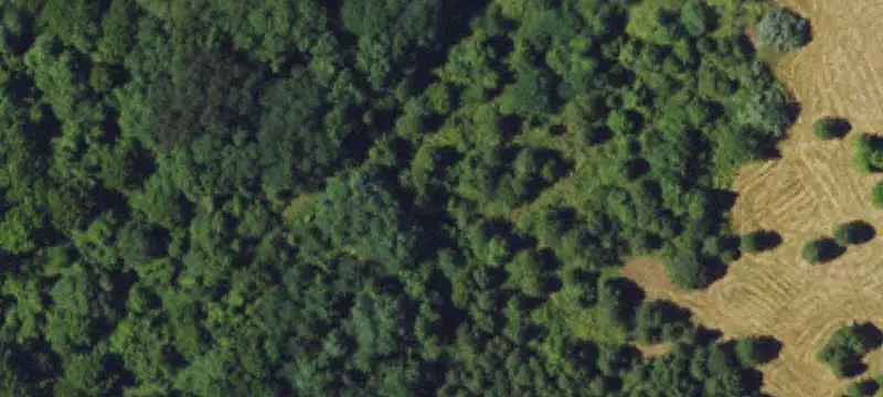 Commercial Land with Utilities