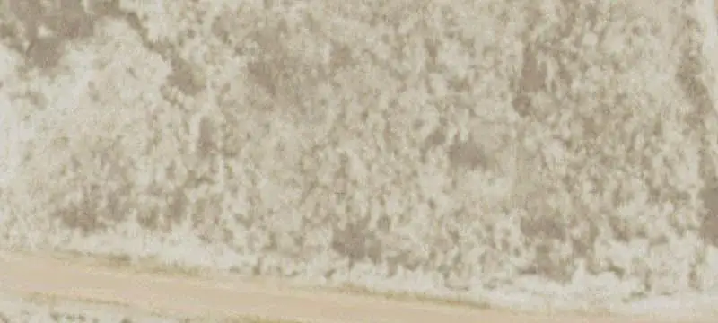 Lots/Land