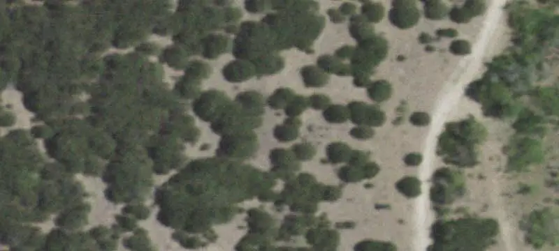 High-Fenced Hunting Ranch