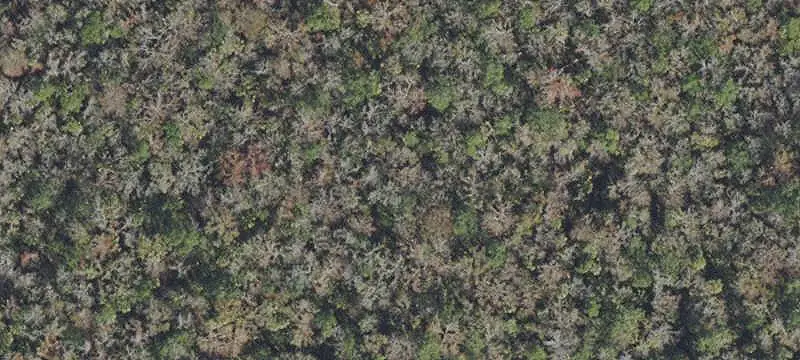 Land / Unimproved Land