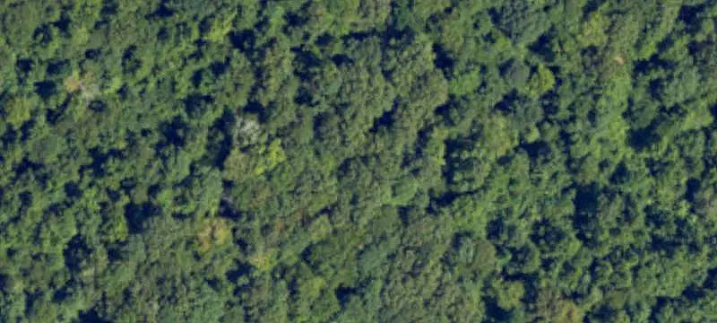Land / Acreage (more than 10 acres)