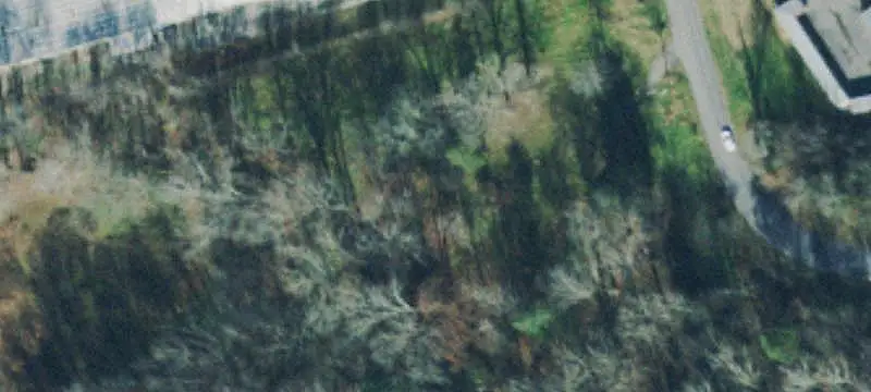 C2 Commercial Land