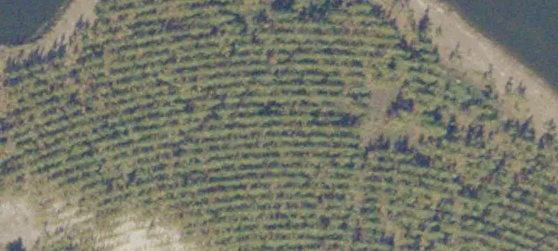 Land