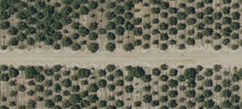 Walnut Farm with Owned Solar
