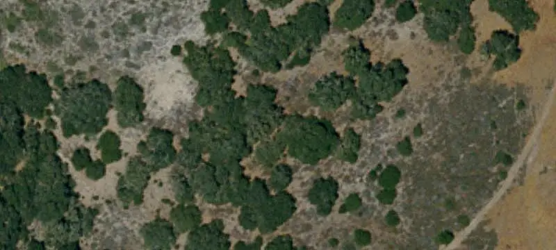 Ranch with Three Homes