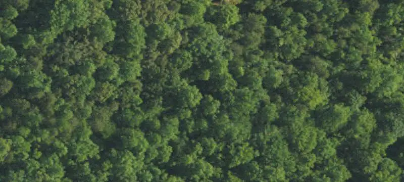 O-I Zoned Commercial Land