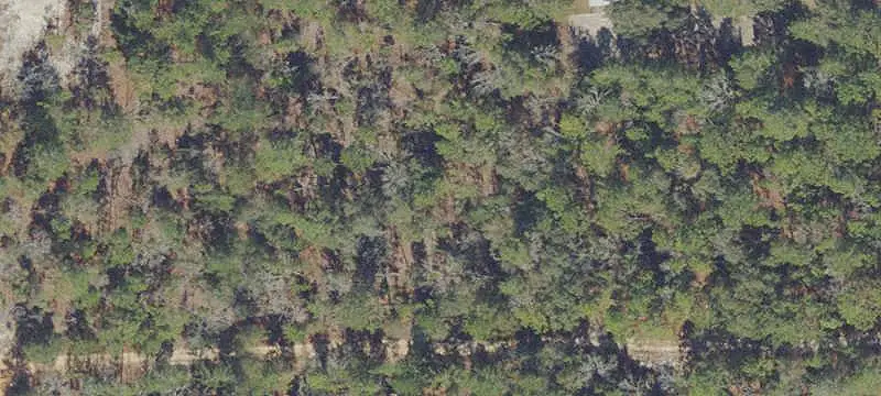 Vacant Land Parcel