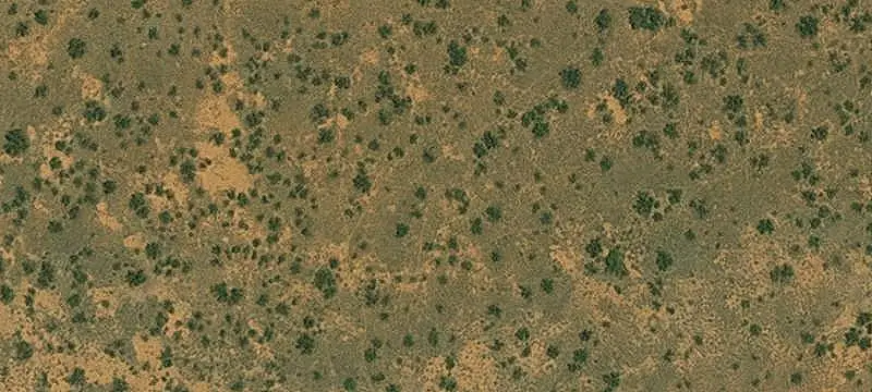 Mountain-Adjacent Hunting Land