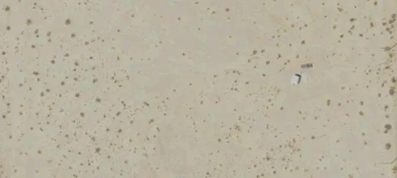 Land Parcel