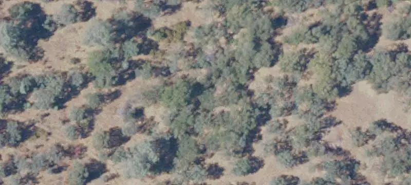 Lots/Land
