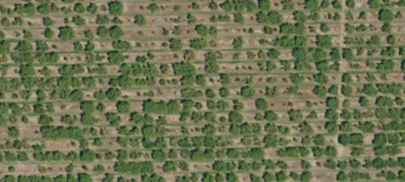Walnut and Cherry Farm