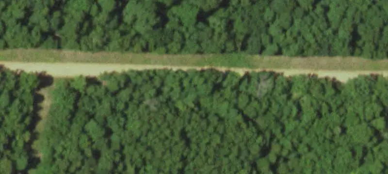 Hunting Land with Border Electricity