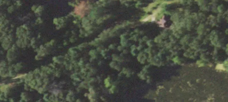 Hunting Land with Deer Stands