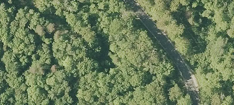 Hunting Land with Natural Cut Plots