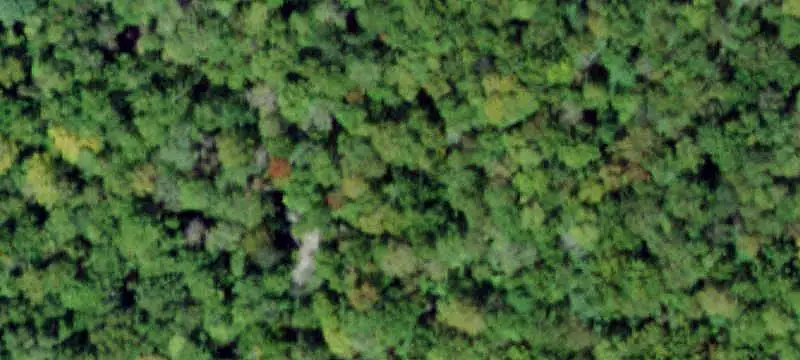 Land, Special Purpose