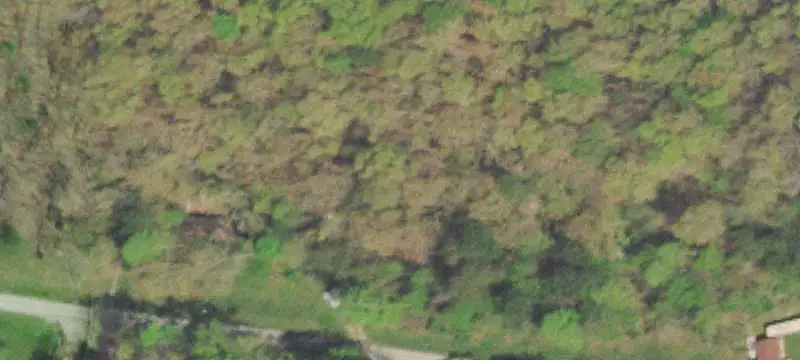 Lots & Acreage