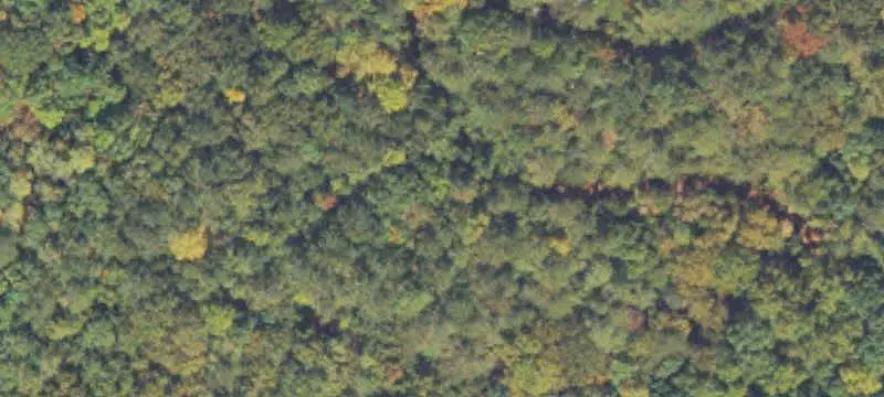 Vacant Land