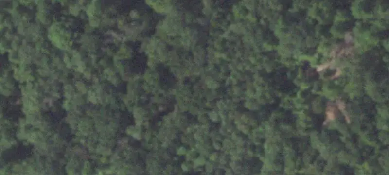 Managed Timberland Hunting Property