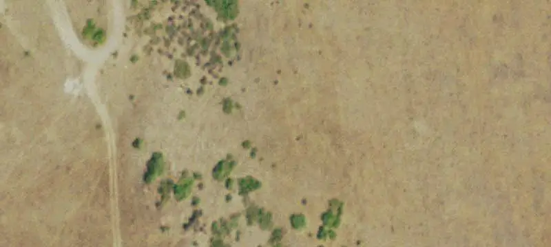 Foothills Ranch with Meadows