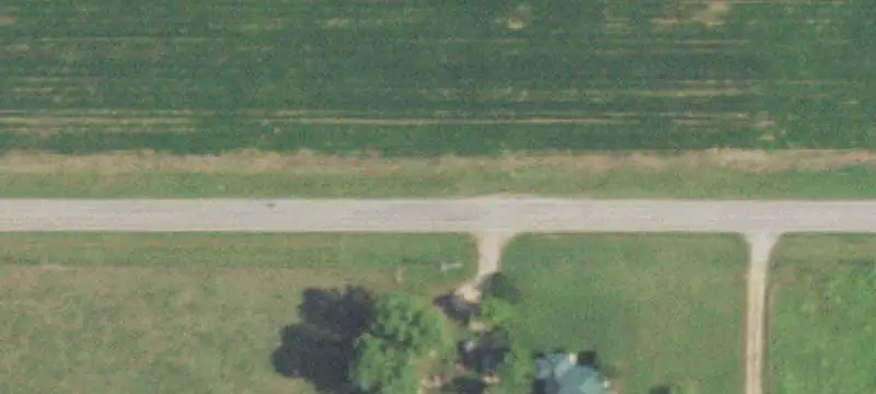 Cannabis Grow And Distribution Facility