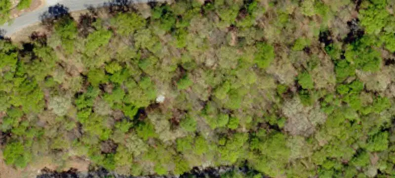Vacant Land