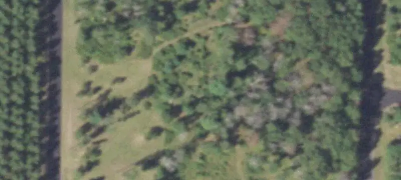 Timber Recreation Land