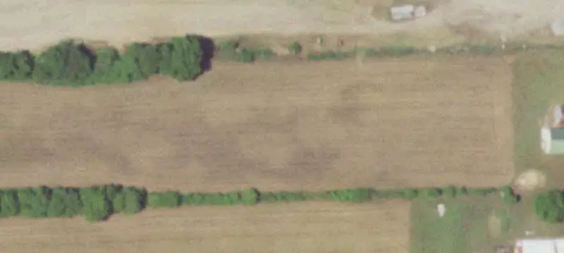 Grocery and Convenience Store Property