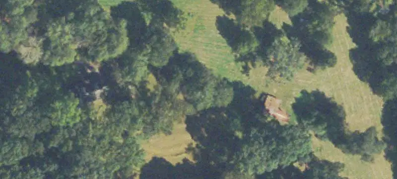 Wooded Agricultural Land Tract