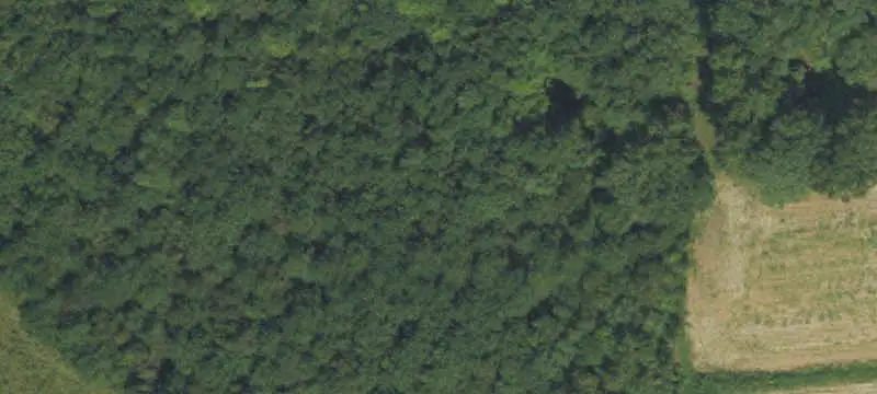 Agricultural Land Tract