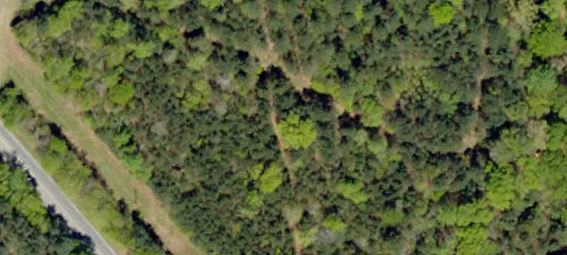 Wooded Riverfront Land