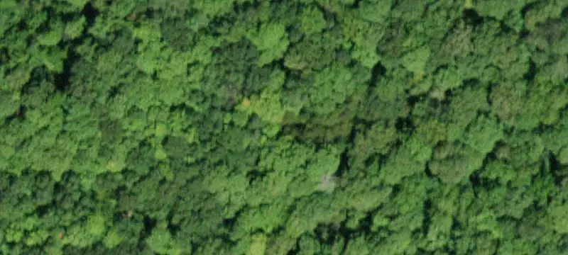 Lots/Land