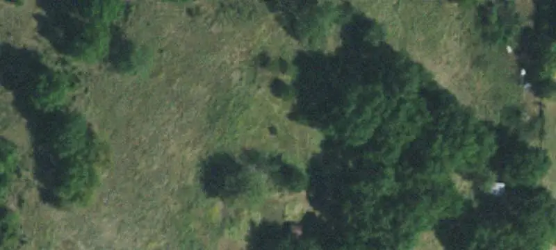Working Ranch with Stocked Ponds