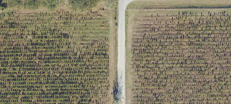 Fenced Horse Property With Barns