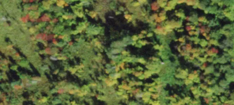 Hunting Land with Cabin