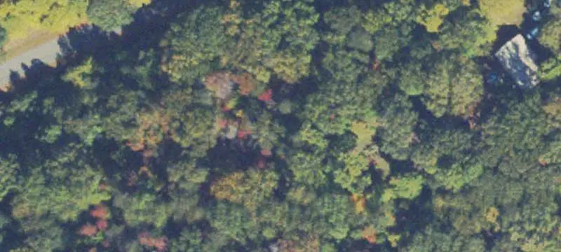 Unimproved Land