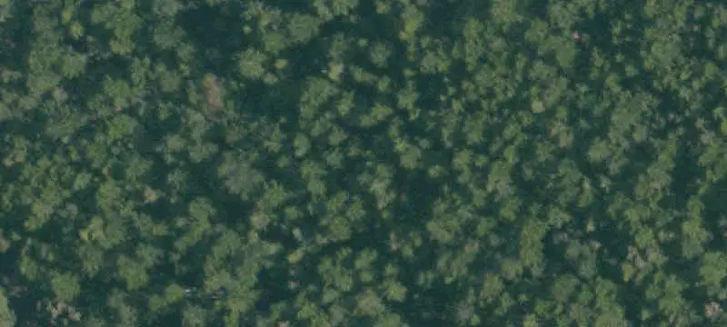 Redwood Timber Farm with Internal Roads