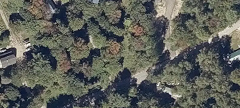 Wooded Hunting Land
